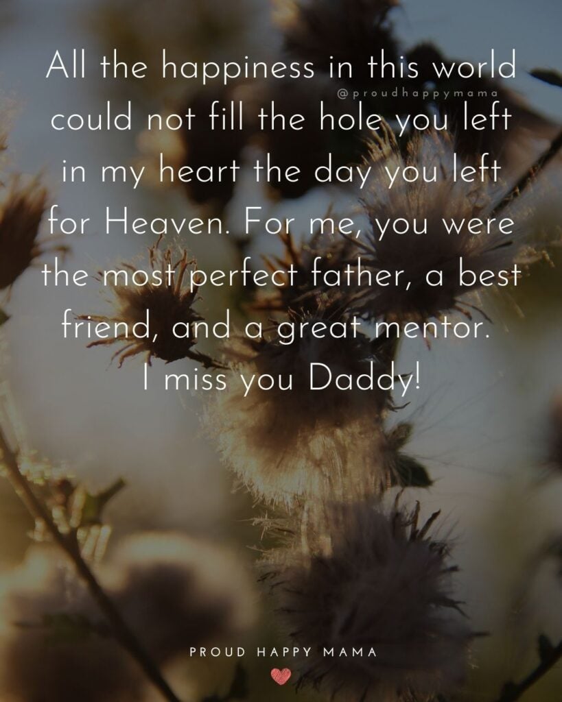 Missing Dad Quotes - All the happiness in this world could not fill the hole you left in my heart the day you left for Heaven. For