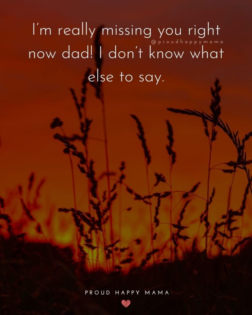 Missing Dad Quotes - I’m really missing you right now dad! I don’t know what else to say.