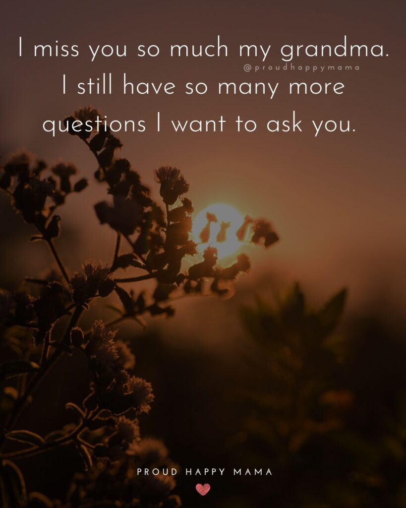 Missing Grandma Quotes - I miss you so much my grandma. I still have so many more questions I want to ask you.
