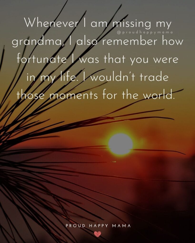 Missing Grandma Quotes - Whenever I am missing my grandma, I also remember how fortunate I was that you were in my life. I wouldn’t trade those moments for the w