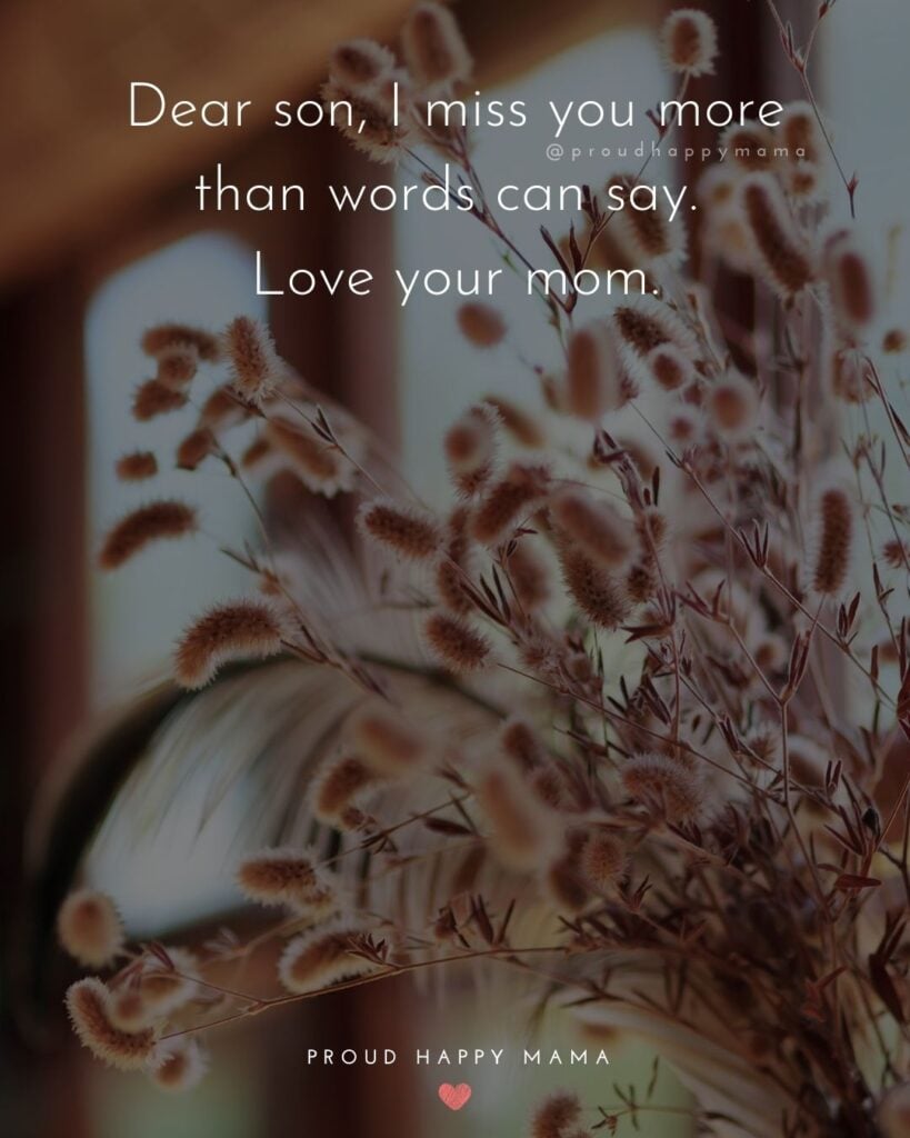 Missing Son Quotes - Dear son, I miss you more than words can say. Love your mom.