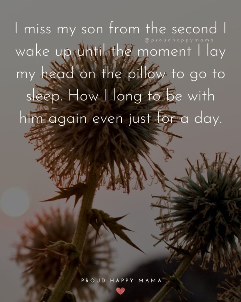 Missing Son Quotes - I miss my son from the second I wake up until the moment I lay my head on the pillow to go to sleep. How I long to be with him again even just for a day.