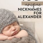 Nickname For Alexander