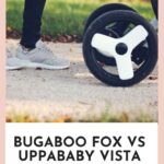 bugaboo fox vs uppababy vista