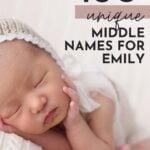 names that go with Emily