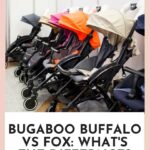 Bugaboo Buffalo Vs Fox