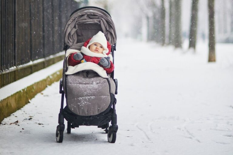 Best Strollers For Snow