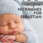 Sebastian Nicknames