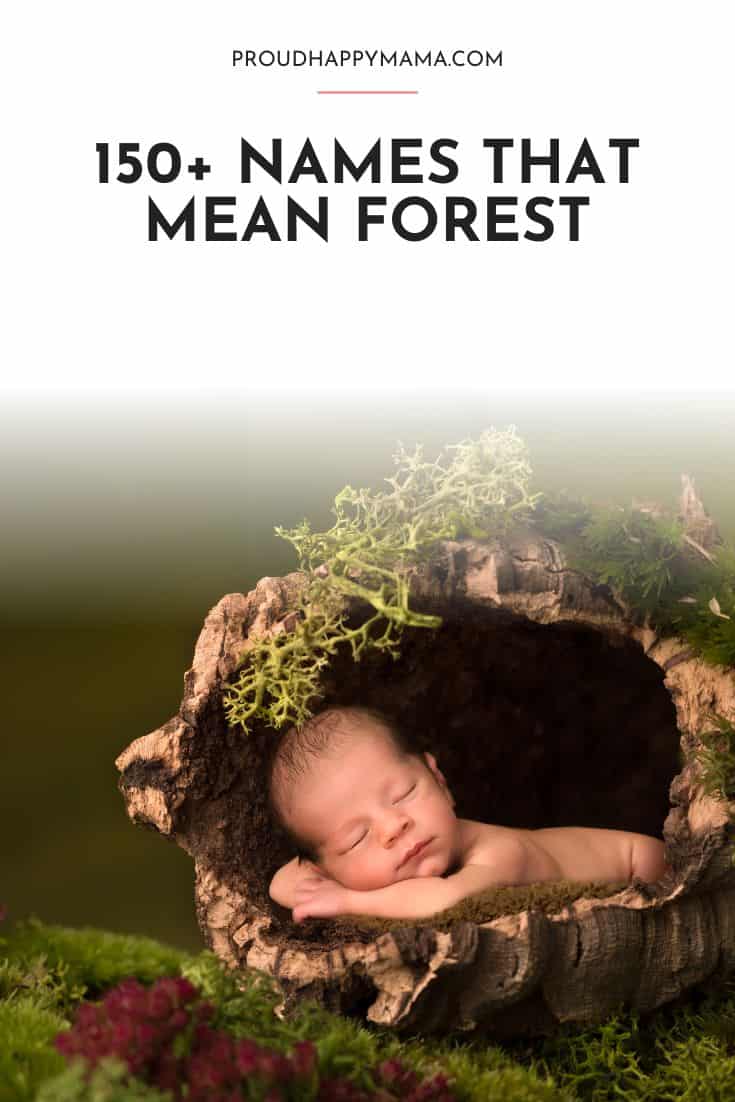 baby names that mean forest