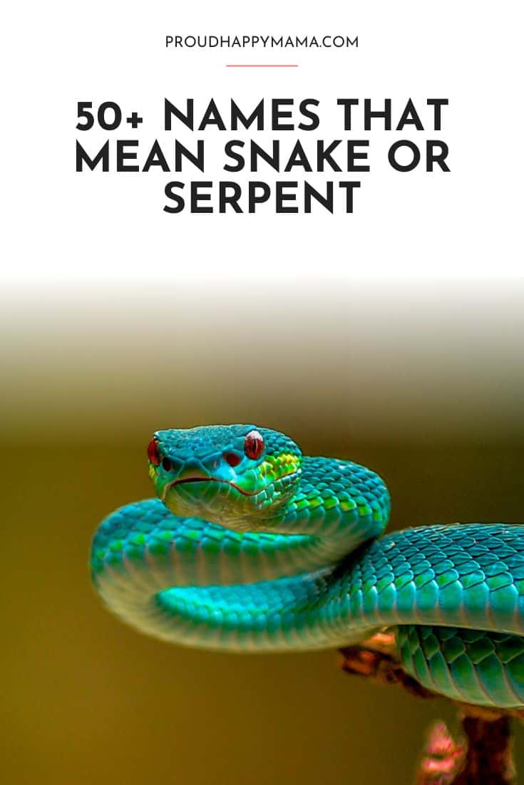 baby names that mean snake