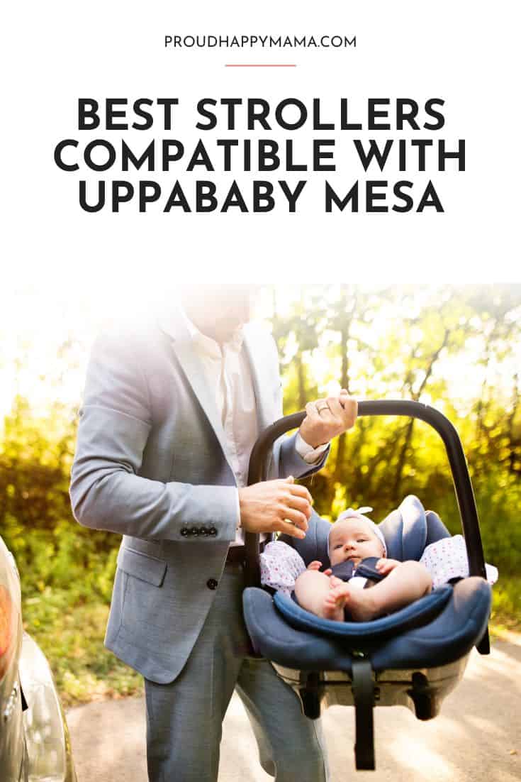 strollers that fit Uppababy Mesa