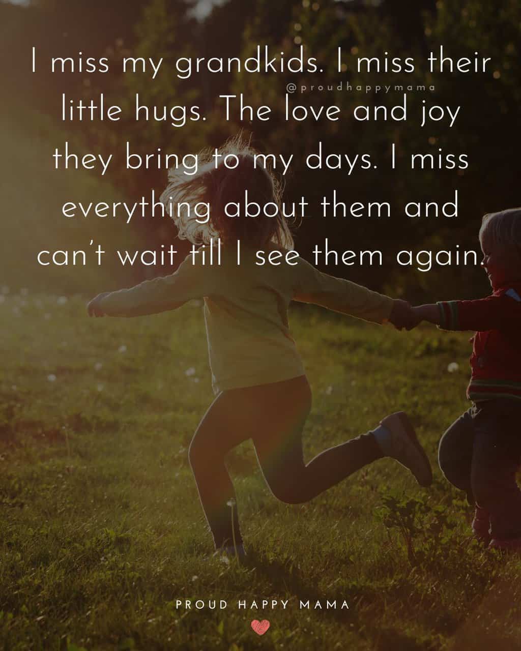 I miss my grandkids. I miss their little hugs. The love and joy they bring to my days. I miss everything about them and can’t wait till I see them again.
