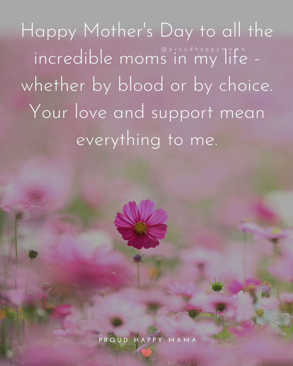 Mother's day quotes for friends and family