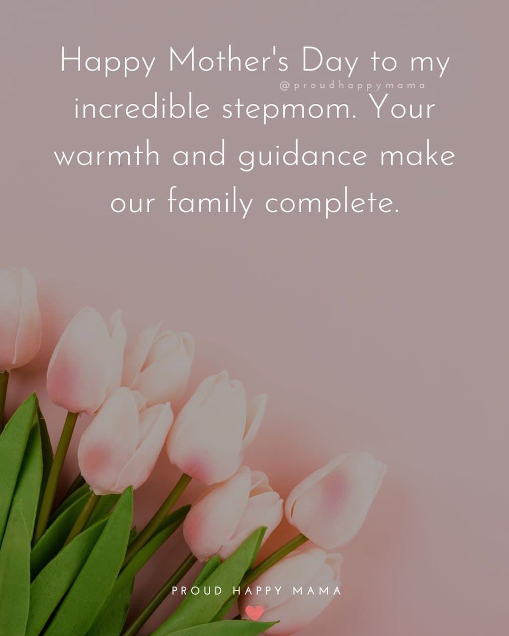 Short Mother's Day Quotes For Stepmom