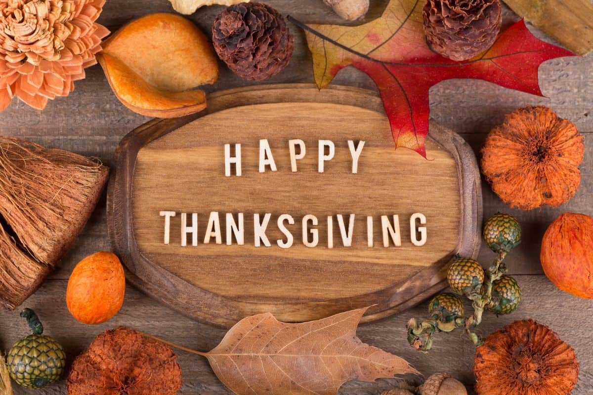 100+ Happy Thanksgiving Day Quotes Shared From the Heart